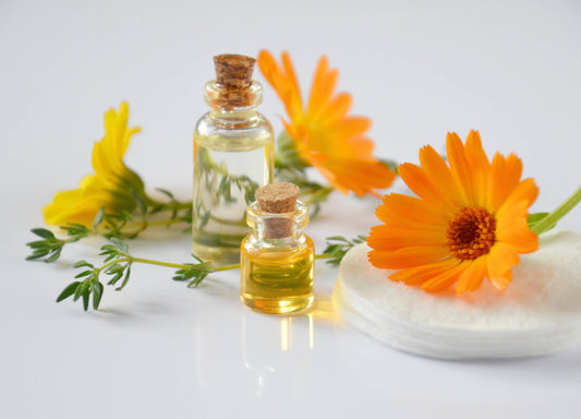L’huile de calendula pour la peau de bébé : bienfaits, usages et précautions